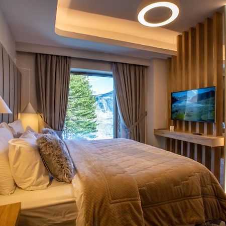 Adryades Luxury Apartments Metsovo Ngoại thất bức ảnh