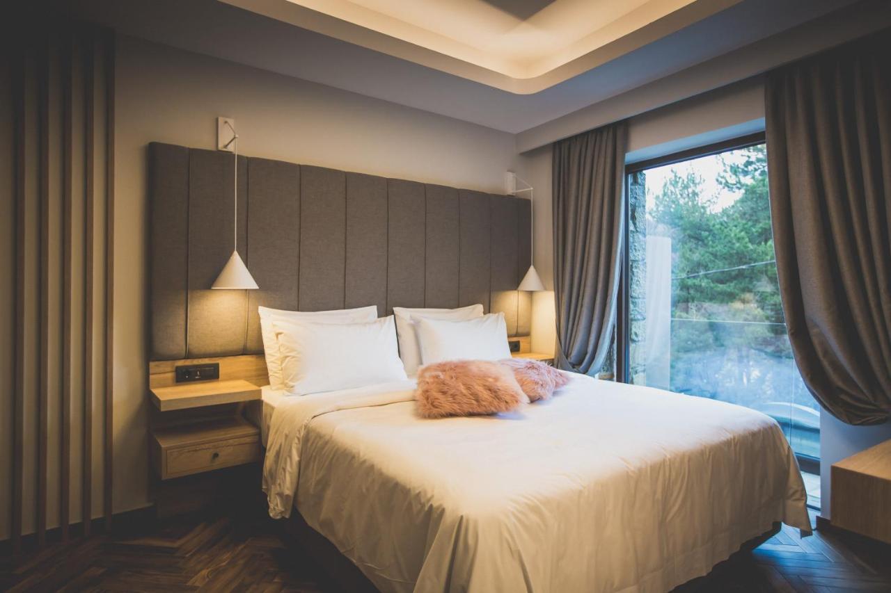 Adryades Luxury Apartments Metsovo Ngoại thất bức ảnh