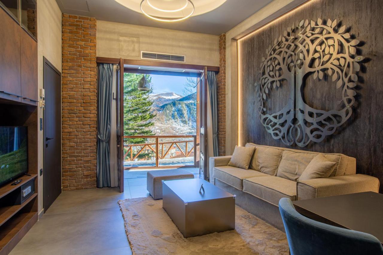 Adryades Luxury Apartments Metsovo Ngoại thất bức ảnh